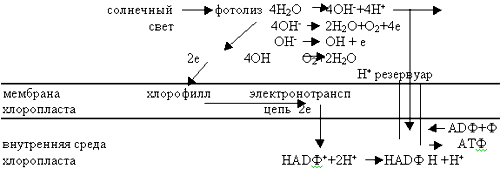 http://festival.1september.ru/articles/565773/img3.gif