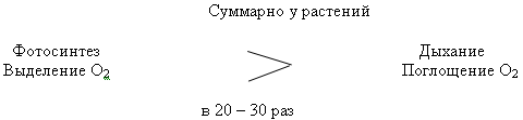 http://festival.1september.ru/articles/565773/img7.gif