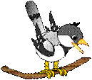 http://www.gmsib.ru/img/informatika/image004av1w.gif