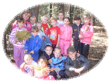 F:\DCIM\102SSCAM\SDC13381.JPG