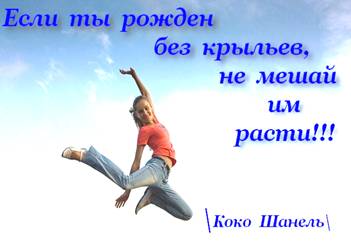 http://stat17.privet.ru/lr/092db24dfc6c14b02c850f