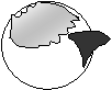 http://www.gmsib.ru/img/informatika/image014av1w.gif