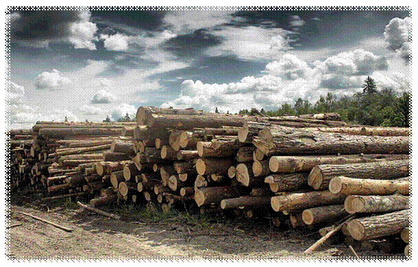 http://xn--80aaokcpedrhrw6j.xn--p1ai/images/1.jpg