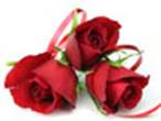 http://tourisme.grandesetapes.fr/fr/evenements/docs/gef_eve_pm_stvalentin_roses.jpg