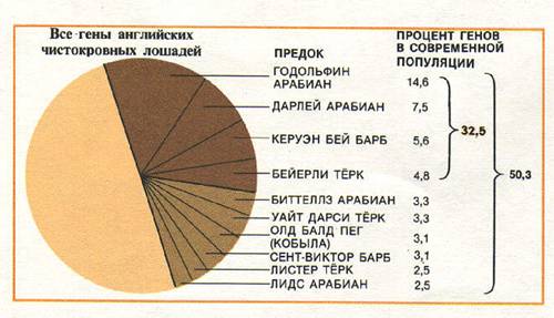 http://q-e-d.chat.ru/images/th4.jpg