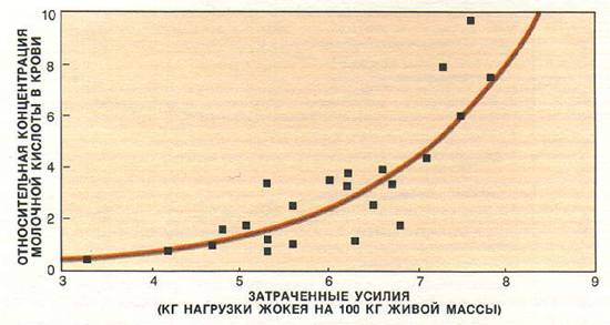 http://q-e-d.chat.ru/images/th7.jpg
