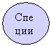 Овал: Специи