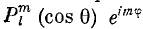 plm.png