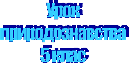 ����

���������������

5 ����
