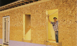 OSB