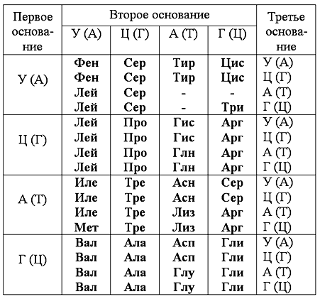 http://bio.1september.ru/2009/06/11_2.gif