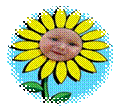 ���� ����� �����.jpg