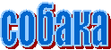 ������