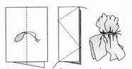 http://www.fancy-work.ru/Data/img/clipart/204_b.jpg