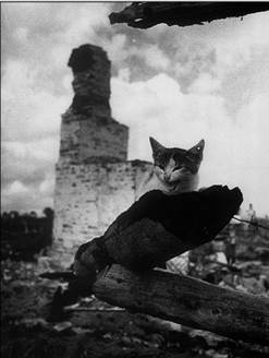 ����� (330x435, 42Kb)