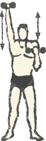 http://pro3001.narod.ru/shcola/sila/sandow/image06.gif