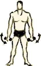 http://pro3001.narod.ru/shcola/sila/sandow/image18.gif