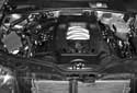 tmp482-1.jpg