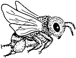 bee027.gif