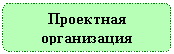 Блок-схема: альтернативный процесс: Проектная организация