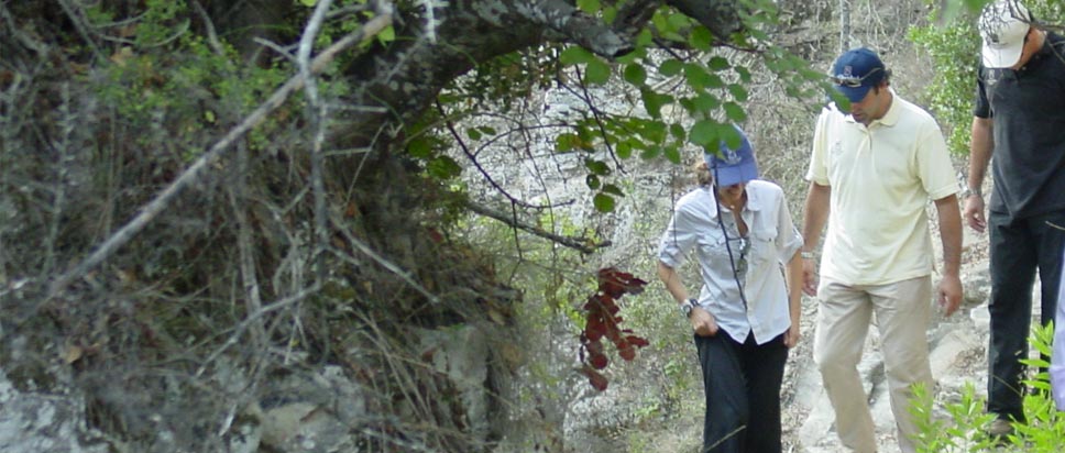 http://www.bsigroup.ru/upload/aphroditehills2.jpg