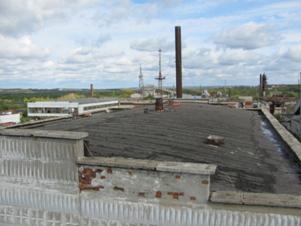 IMG_1567.jpg