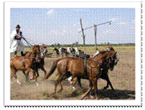 \\companyweb\DavWWWRoot\beutazas\Shared