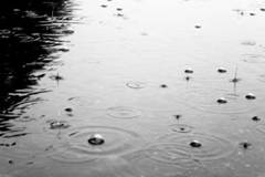http://club.ncstu.ru/photo/nob/water/09.jpg
