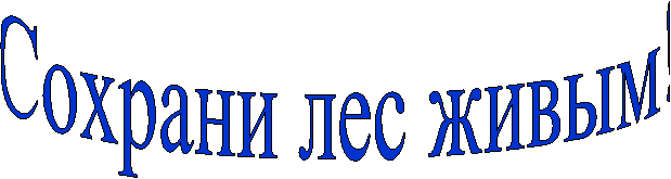 Сохрани лес живым!