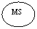 ����: MS



