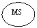 ����: MS



