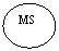����: MS



