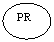 ����: PR



