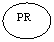 ����: PR



