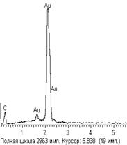 E:\��� ���������\������ 2009\������� ���������\04_06_2010\sample_1\+polymer\001b02s2.tif