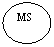 ����: MS



