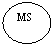 ����: MS



