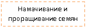 �������: ����������� � ���-��������� �����