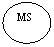 ����: MS



