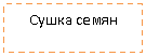 �������: ����� �����
