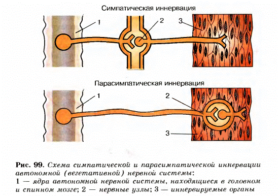 Схема