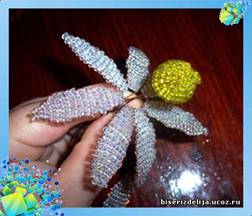 �������� 15 �� 5594