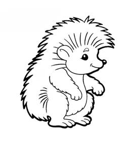 ejik-raskraski-7