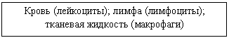 �������: