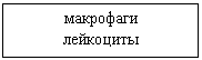 �������: