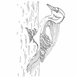 ����� - �������������� ���������
