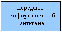 �������: