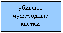 �������: