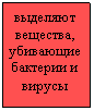 �������: