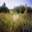 http://odb.tamboff.ru/oblast/data/images/nature1_s.jpg
